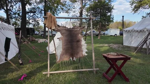 View of an animal hide on a frame at Fort Massac Park, United States. Vídeo Stock 335652489