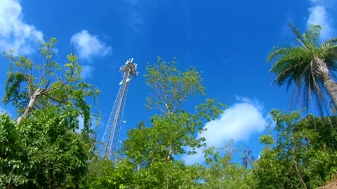 View of Antenna Tower on a Hill, Trees on the Foreground Stock Footage 130349536