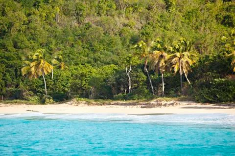 View to an Antiguan beach from a boat. Stock Photos
