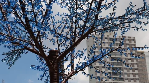 View of apartment building through artificial blue tree made of jewels Stock-Footage 121679029