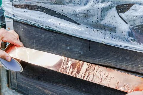 View of applying copper adhesive tape to wooden planter for slug protection Stock Photos
