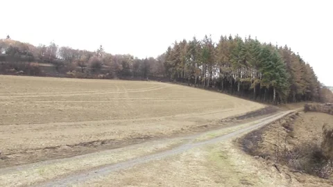 View around the edge of the wildfire area 스톡 동영상 342916293