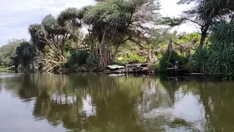 The view around the lagoon from the boat Stock Footage 152820340