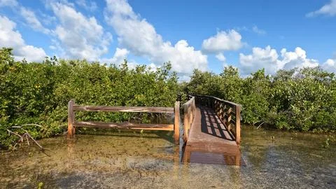 View around Long Key State Park -  Layton, Florida Stock Photos