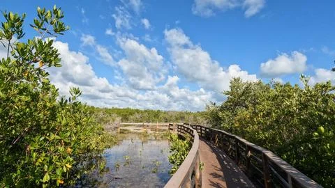 View around Long Key State Park -  Layton, Florida Stock Photos
