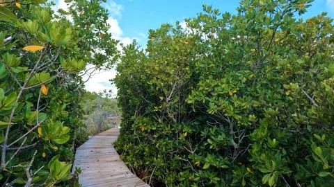 View around Long Key State Park -  Layton, Florida Stock Photos