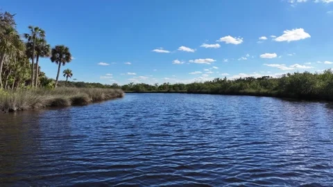 View around the Ormond Beach Scenic Loop and Trail Stock Footage 260172462