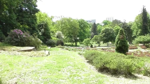 View around a quiet park of a sunny park Stock Footage 334570464