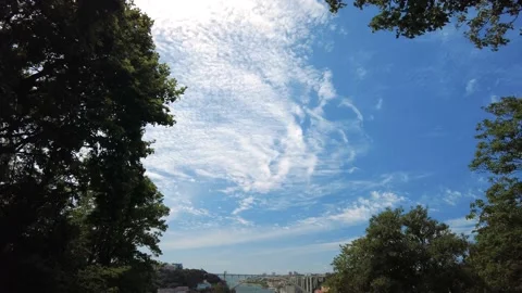 View to Arrbida Bridge over Douro River from a Beautiful Garden in the Park - Video stock 154579447
