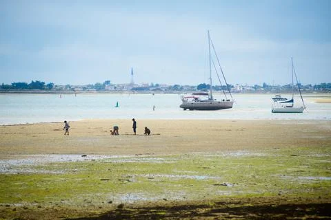 View on Ars-en-Re Stock Photos