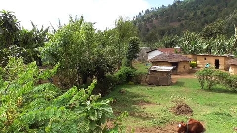 View of arusha area in the mountain Stock Footage 83245256