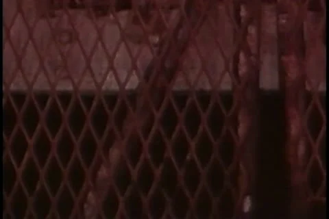 View from ascending mine elevator Stock Footage 11353415