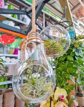 View of assortment of decor for interior shop in store of shopping center. Czech Stock Photos