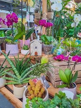 View of assortment of decor for interior shop in store of shopping center. Czech Stock Photos