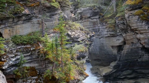 View of Athabasca Falls on the Icefields Parkway in Alberta, Canada. Stock Footage 153162368