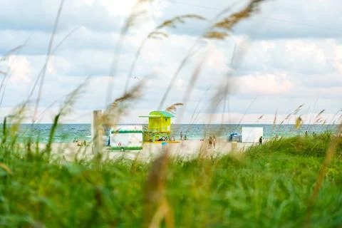 View on Atlantic ocean through grass in Miami Beach Florida USA Stock Photos