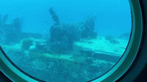 View from Atlantis Submarine Stock Footage 234737922