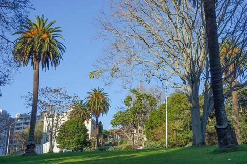 View of Auckland Stock Photos