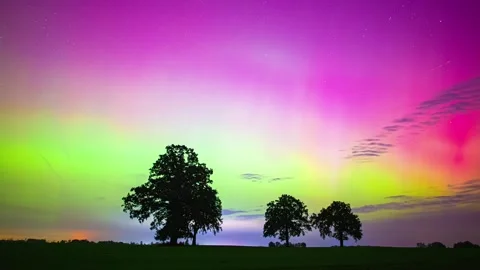 View of aurora borealis over trees in Latvia. Video stock 341453392