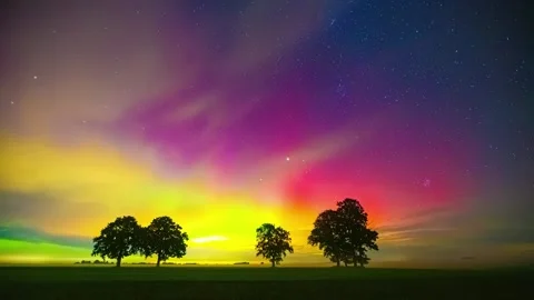 View of aurora borealis over trees in Latvia. Stockbeeldmateriaal 341453398