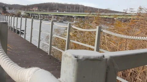 View of the autumn bridge over the river Video stock 222079364