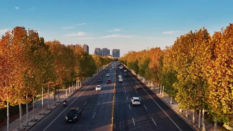 View of autumn forest and black asphalt road. Nature in China hunan. Stock Footage 326067083