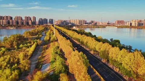 View of autumn forest and black asphalt road. Nature in China hunan. Stock-Footage 326067106