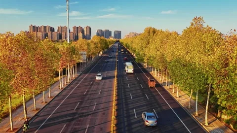 View of autumn forest and black asphalt road. Nature in China hunan. Stock-Footage 326067124