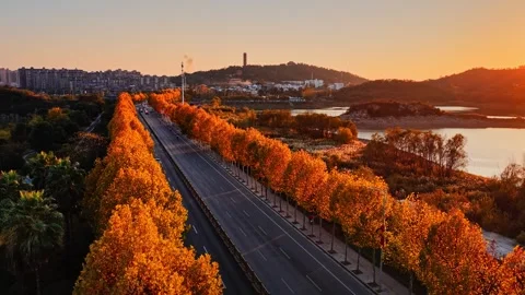View of autumn forest and black asphalt road. Nature in China hunan. Stock Footage 326067702