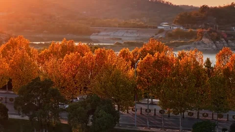 View of autumn forest and black asphalt road. Nature in China hunan. Stock Footage 326067703