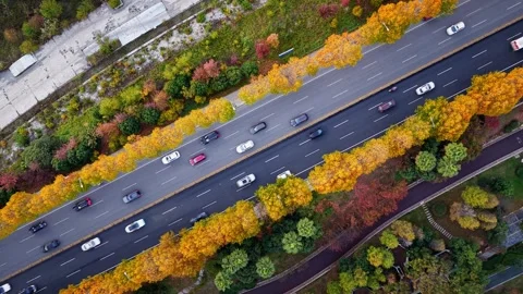 View of autumn forest and black asphalt road. Nature in China hunan. Stock Footage 326080375