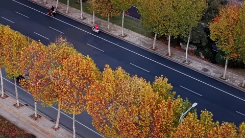 View of autumn forest and black asphalt road. Nature in China hunan. Stock Footage 326080501