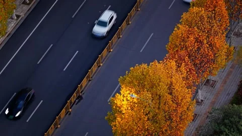 View of autumn forest and black asphalt road. Nature in China hunan. Stock Footage 326080503