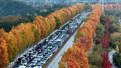 View of autumn forest and black asphalt road. Nature in China hunan. Stock Footage 326147682