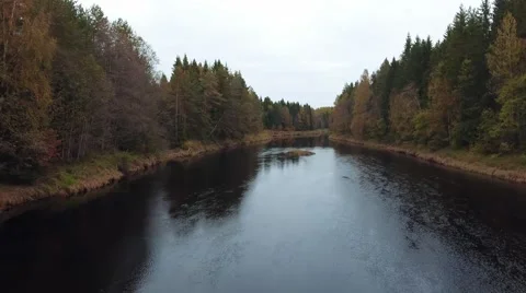 View of the autumn forest and river Stock Footage 68073867