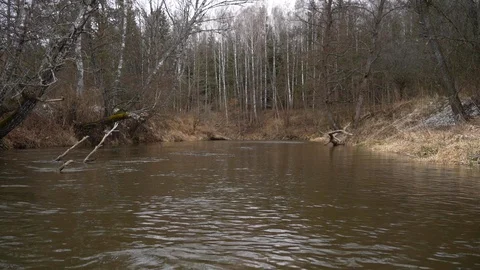 View on autumn forest with bare trees from boat rafting on river in slow motion. Stockbeeldmateriaal 126932756