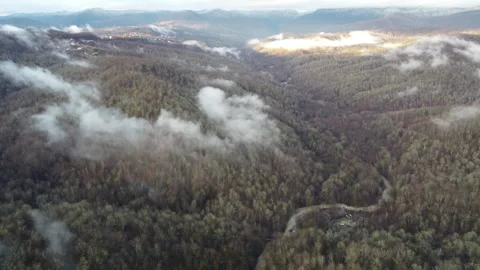 View of the autumn forest in the mountains through the clouds Stock Footage 247088527