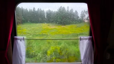 View of the autumn forest from the train window Stock Footage 329870912