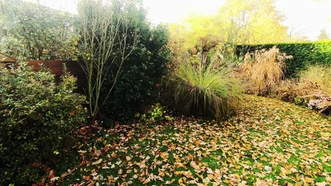View in the autumn garden Video stock 122824899
