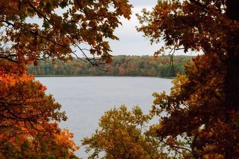 View of the autumn landscape through the branches of trees. Lake Asveja Stock Photos