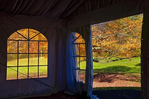 View of the autumn leaf colour through the temporary wedding event tent Stock Photos