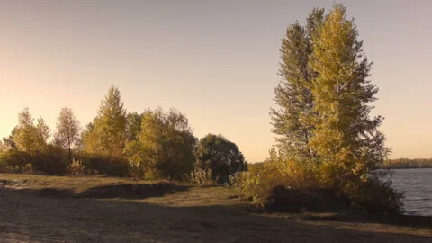 View of autumn trees in a clear Autumn day at sunset. Vídeos de archivo 122013820