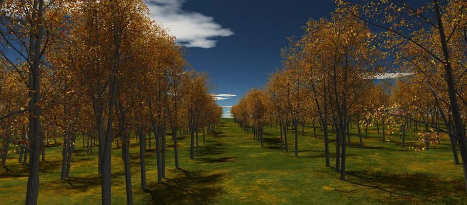 View of autumn trees lined up in a row Stock Illustration