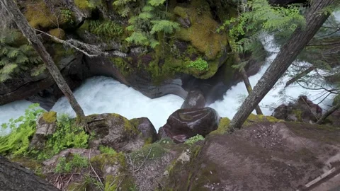 View of Avalanche Creek cutting though forest in Glacier National Park, Montana. Stock Footage 337802545