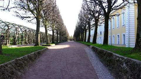 View avenue by which people go to the park Stock Footage 58928680