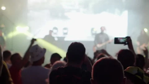 A view from the back of the dancing people at a rock festival. Stock Footage 234553514