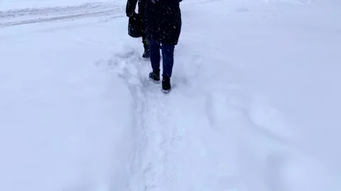 View from the back a group of people walking along a snowy road. Stock Footage 149219067