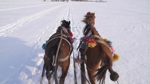 View from the back of horses pull it through a snowy field Stock Footage 101789201