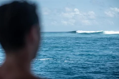 View from the back man surfer watching to the blue perfect waves from the boa Stock Photos
