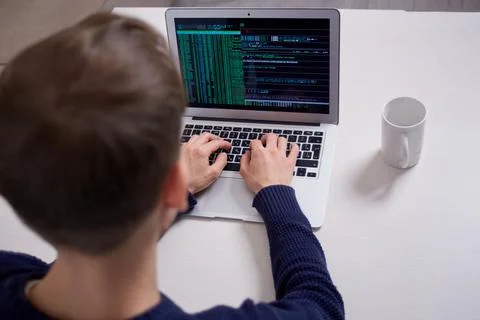 View from the back of a man working at home online. Work as a programmer. Foto stock